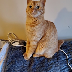 Fundraising Page: Jill & Art Webber